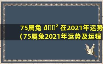 75属兔 🌲 在2021年运势（75属兔2021年运势及运程每月运 🐺 程）